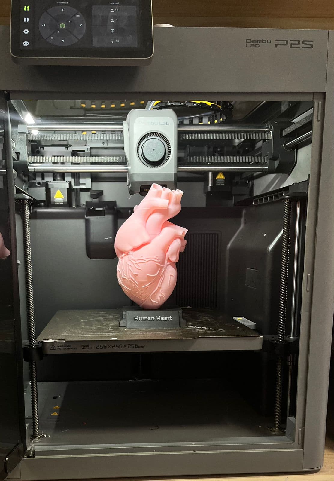 3D printer finishing a model of a human heart